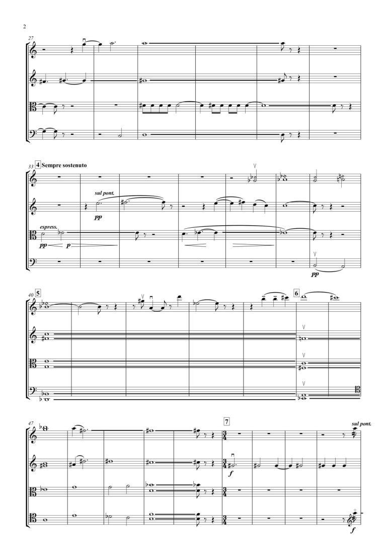 String Quartet N5 Con Sordino